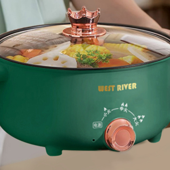 Unlock Culinary Magic with the Electric Multi Function Pressure Cooker
